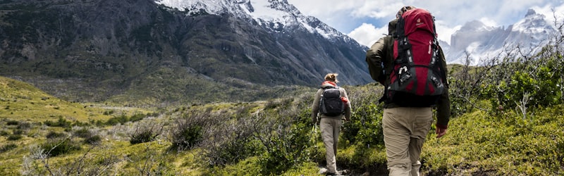 综合体育赛事集锦 - 包含田径、游泳等多种运动